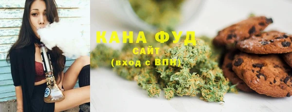 кристаллы Гусь-Хрустальный
