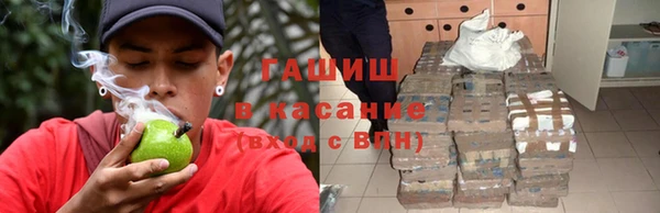 стаф Гусев