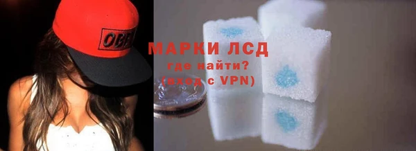 стаф Гусев