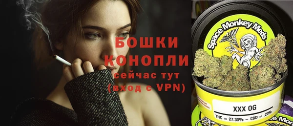 кристаллы Гусь-Хрустальный